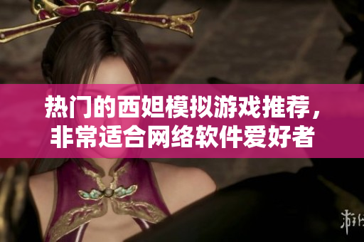 热门的西妲模拟游戏推荐，非常适合网络软件爱好者