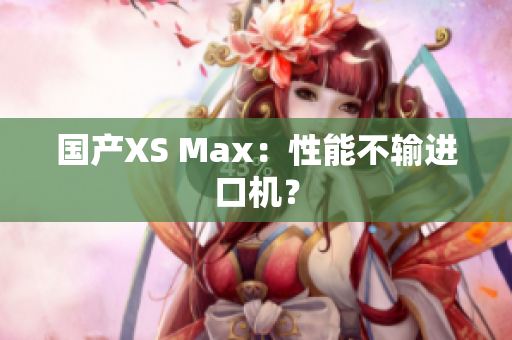 国产XS Max：性能不输进口机？