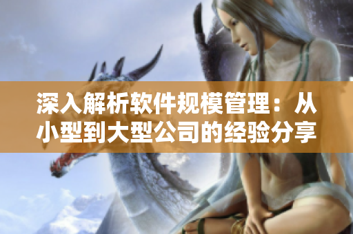 深入解析软件规模管理：从小型到大型公司的经验分享