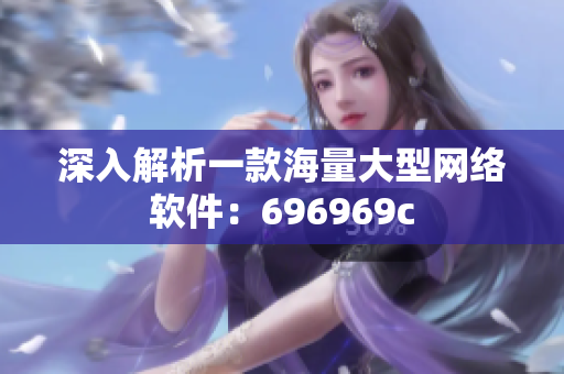 深入解析一款海量大型网络软件：696969c