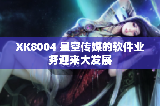 XK8004 星空传媒的软件业务迎来大发展