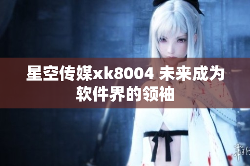 星空传媒xk8004 未来成为软件界的领袖