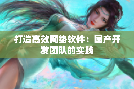 打造高效网络软件：国产开发团队的实践