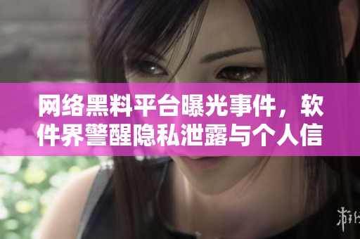 网络黑料平台曝光事件，软件界警醒隐私泄露与个人信息保护问题