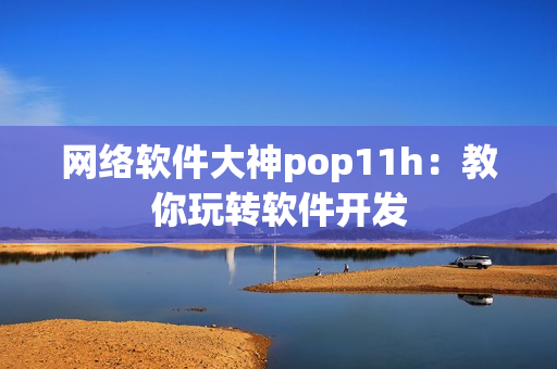 网络软件大神pop11h：教你玩转软件开发