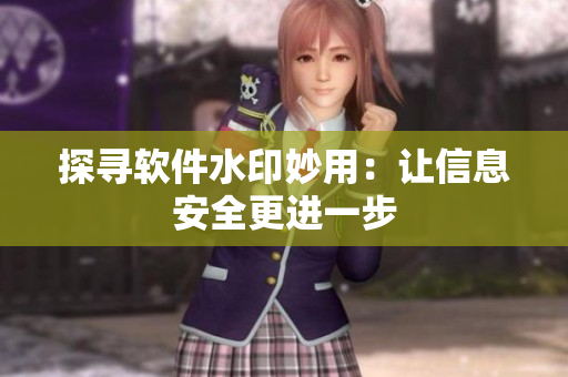 探寻软件水印妙用：让信息安全更进一步