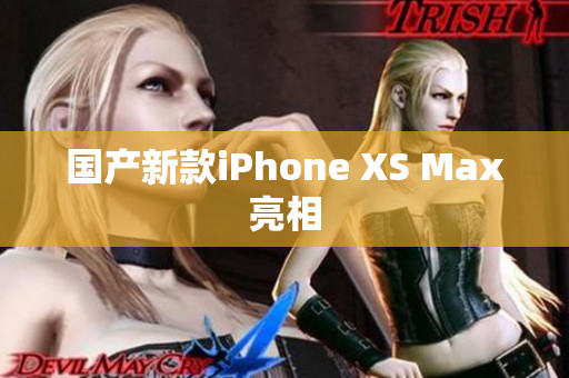 国产新款iPhone XS Max亮相