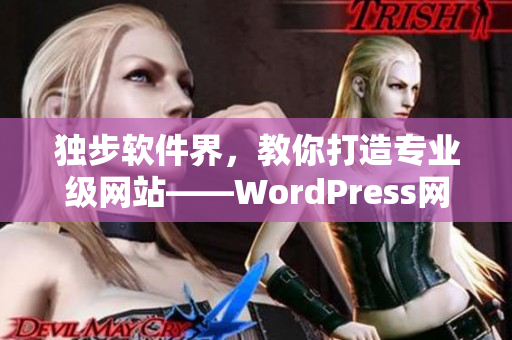 独步软件界，教你打造专业级网站——WordPress网站制作全攻略