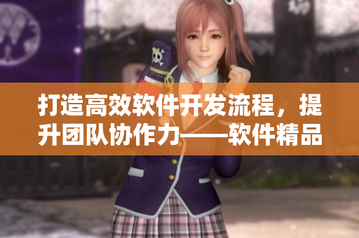 打造高效软件开发流程，提升团队协作力——软件精品制作指南
