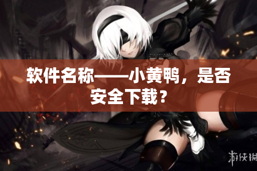 软件名称——小黄鸭，是否安全下载？