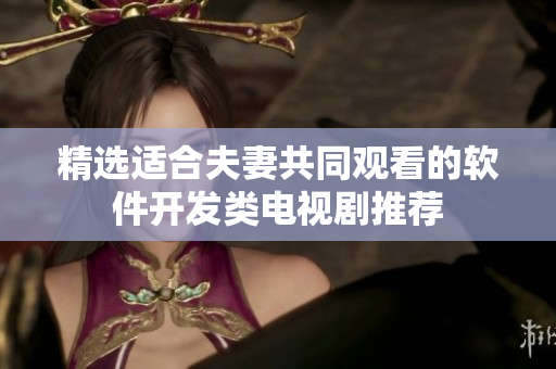 精选适合夫妻共同观看的软件开发类电视剧推荐