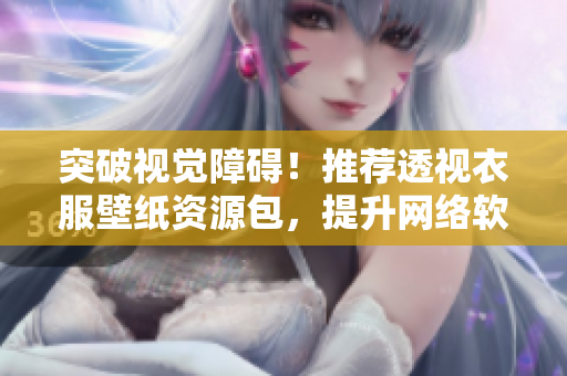 突破视觉障碍！推荐透视衣服壁纸资源包，提升网络软件开发体验