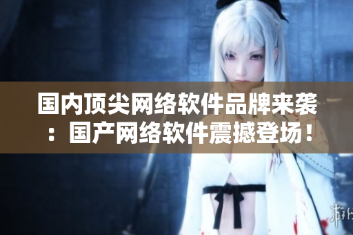 国内顶尖网络软件品牌来袭：国产网络软件震撼登场！
