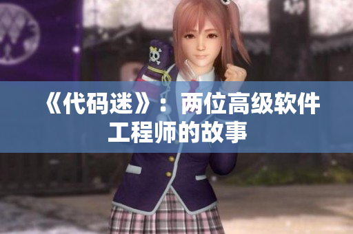 《代码迷》：两位高级软件工程师的故事