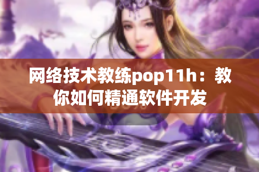 网络技术教练pop11h：教你如何精通软件开发