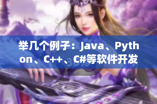 举几个例子：Java、Python、C++、C#等软件开发语言