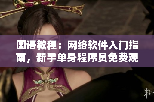 国语教程：网络软件入门指南，新手单身程序员免费观看！