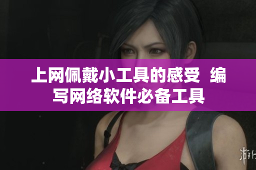 上网佩戴小工具的感受  编写网络软件必备工具