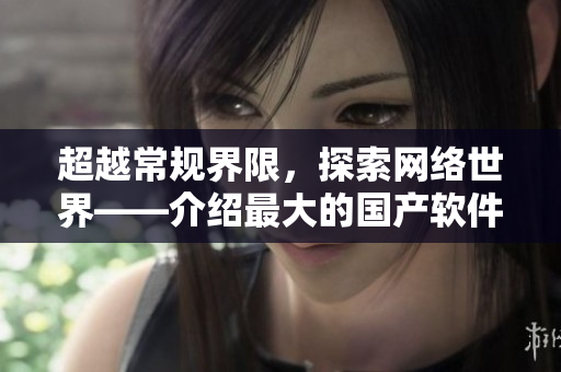 超越常规界限，探索网络世界——介绍最大的国产软件开发工具