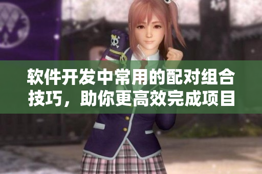 软件开发中常用的配对组合技巧，助你更高效完成项目。