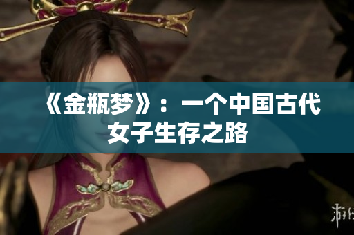 《金瓶梦》：一个中国古代女子生存之路