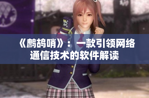 《鹧鸪哨》：一款引领网络通信技术的软件解读