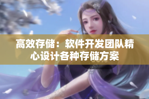 高效存储：软件开发团队精心设计各种存储方案