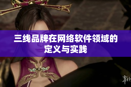 三线品牌在网络软件领域的定义与实践