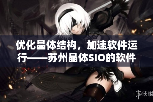 优化晶体结构，加速软件运行——苏州晶体SIO的软件应用探究