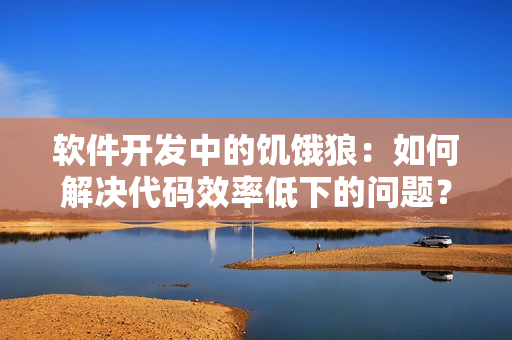 软件开发中的饥饿狼：如何解决代码效率低下的问题？
