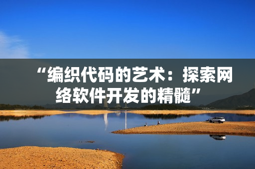 “编织代码的艺术：探索网络软件开发的精髓”