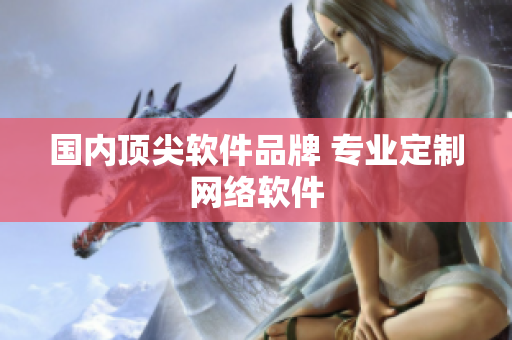 国内顶尖软件品牌 专业定制网络软件