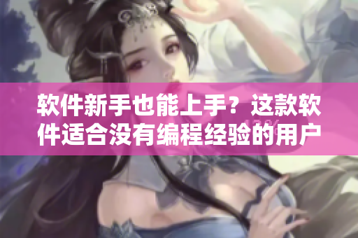 软件新手也能上手？这款软件适合没有编程经验的用户使用吗？