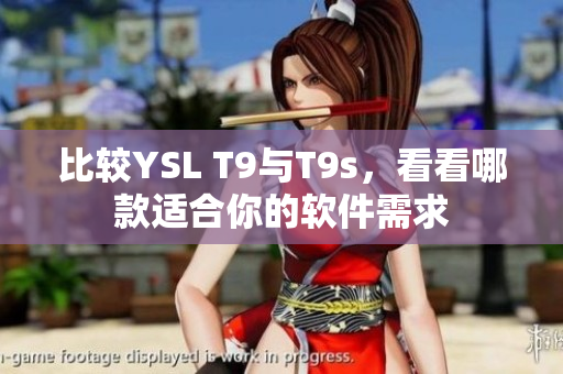 比较YSL T9与T9s，看看哪款适合你的软件需求