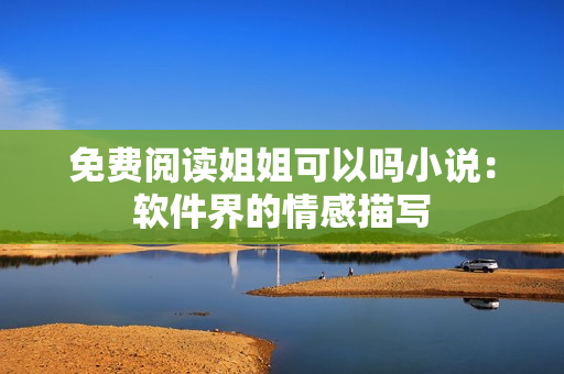 免费阅读姐姐可以吗小说：软件界的情感描写