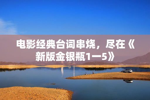 电影经典台词串烧，尽在《新版金银瓶1一5》