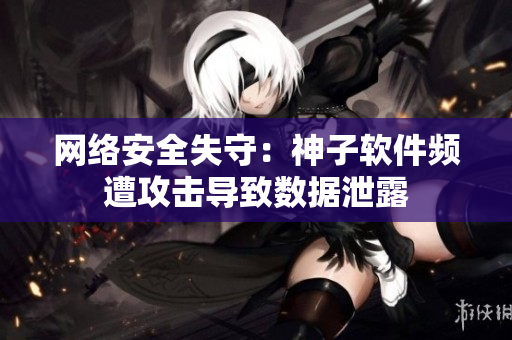 网络安全失守：神子软件频遭攻击导致数据泄露