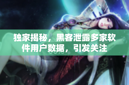 独家揭秘，黑客泄露多家软件用户数据，引发关注