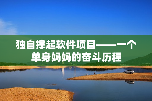 独自撑起软件项目——一个单身妈妈的奋斗历程