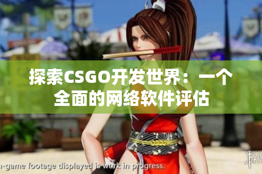 探索CSGO开发世界：一个全面的网络软件评估