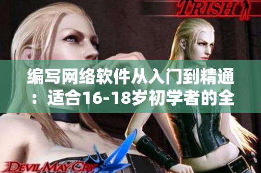 编写网络软件从入门到精通：适合16-18岁初学者的全面指南