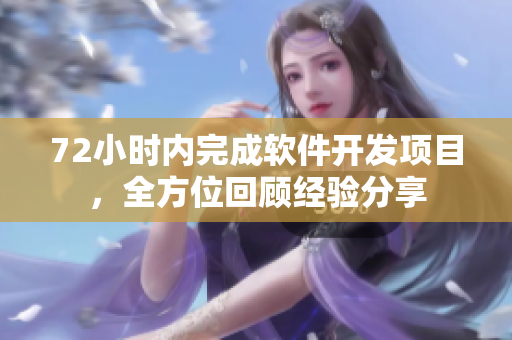 72小时内完成软件开发项目，全方位回顾经验分享