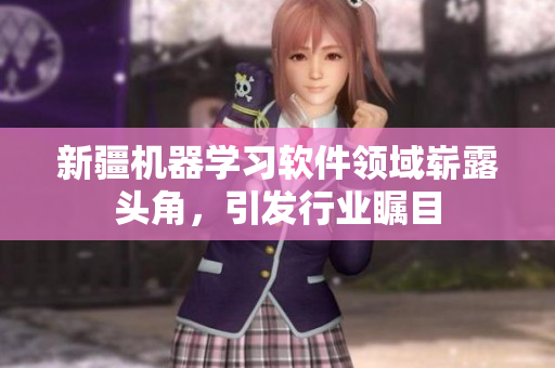 新疆机器学习软件领域崭露头角，引发行业瞩目