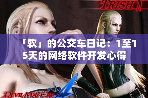 「软」的公交车日记：1至15天的网络软件开发心得