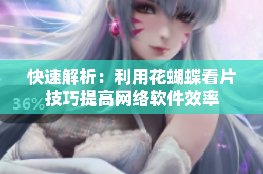快速解析：利用花蝴蝶看片技巧提高网络软件效率