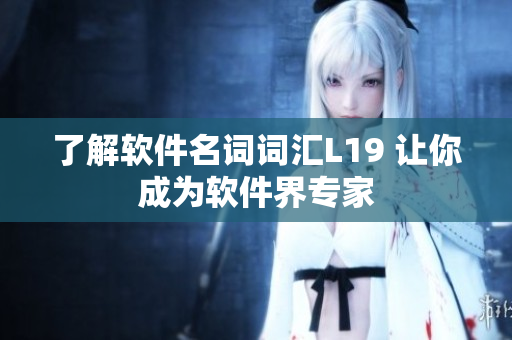 了解软件名词词汇L19 让你成为软件界专家