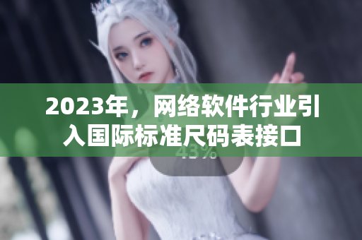 2023年，网络软件行业引入国际标准尺码表接口