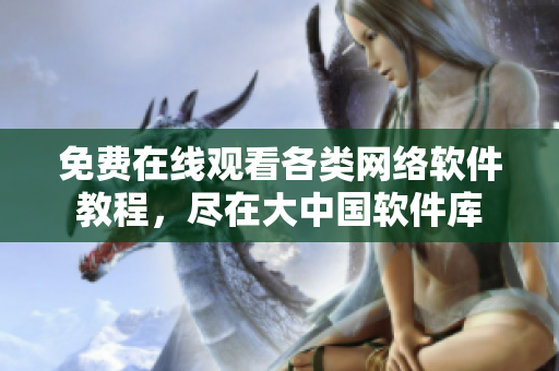 免费在线观看各类网络软件教程，尽在大中国软件库