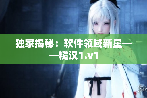 独家揭秘：软件领域新星——糙汉1.v1