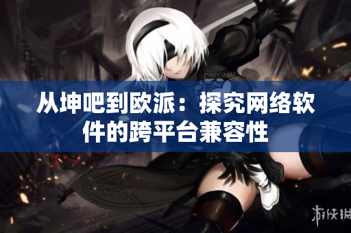 从坤吧到欧派：探究网络软件的跨平台兼容性